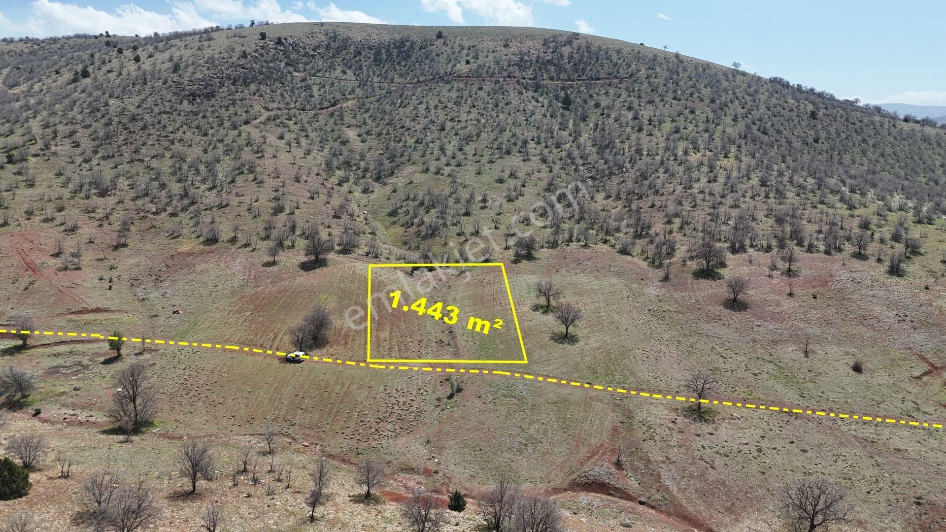 Konya / Güneysınır / Kızılöz Mahallesinde 1.443 M² Müstakil Tapulu Tarla - Görsel 2