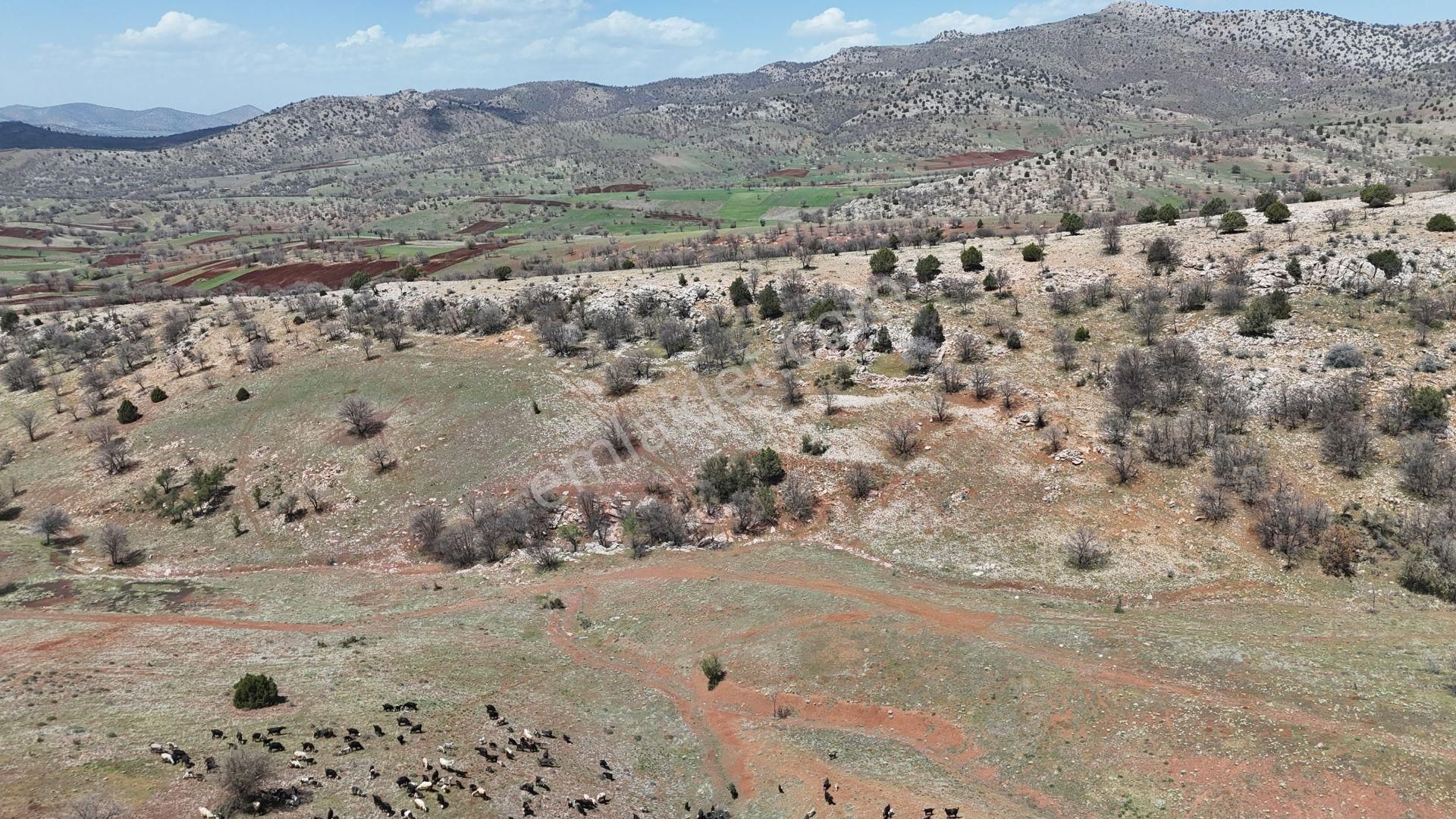Konya / Güneysınır / Kızılöz Mahallesinde 1.443 M² Müstakil Tapulu Tarla - Görsel 6