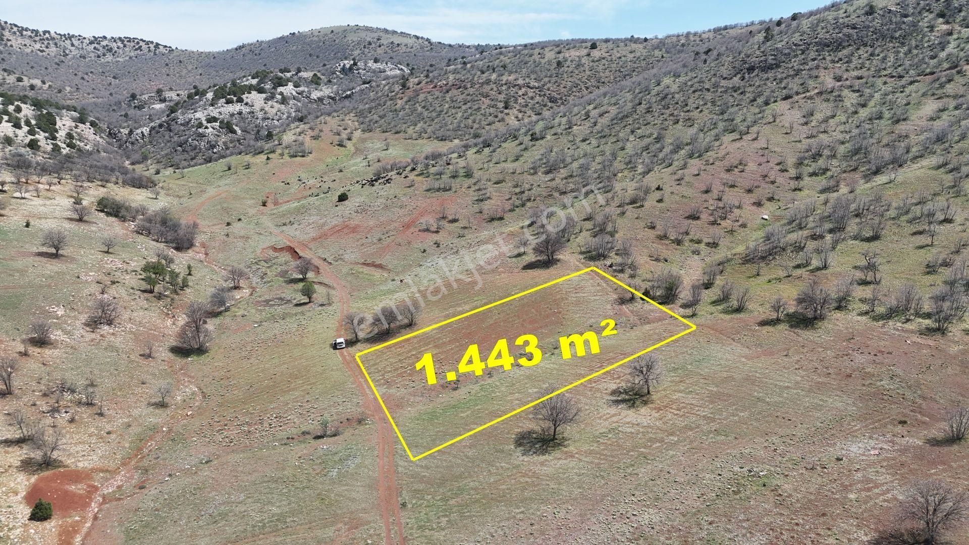Konya / Güneysınır / Kızılöz Mahallesinde 1.443 M² Müstakil Tapulu Tarla - Görsel 3