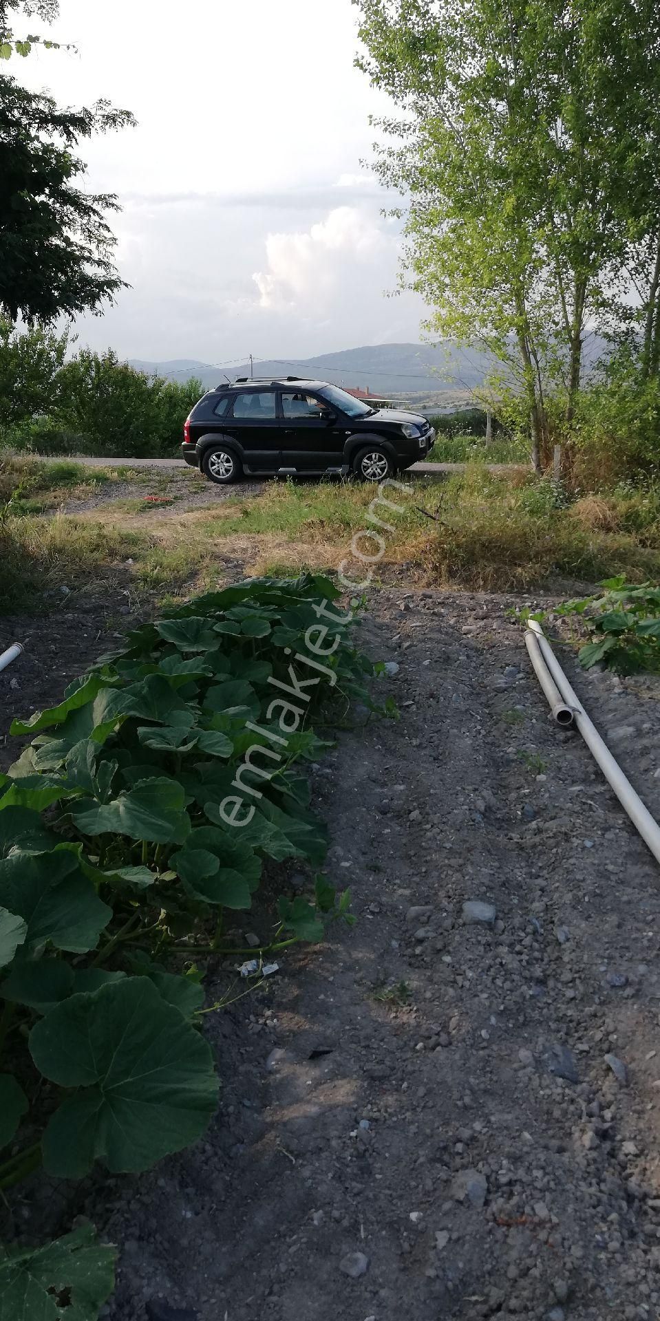 Güdül-beypazaı Yolu Kenarı Sulu Tarla - Görsel 12