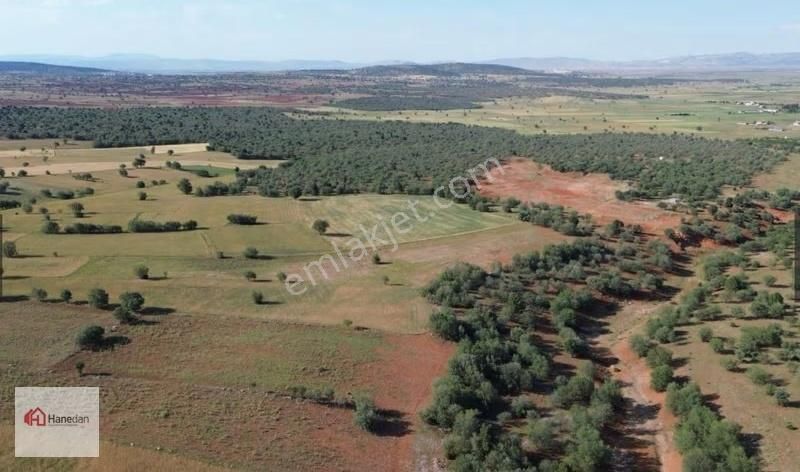 Hanedan'dan, Akören Karahüyük 5.666 M2 Müstakil Tapulu Tarla - Görsel 9