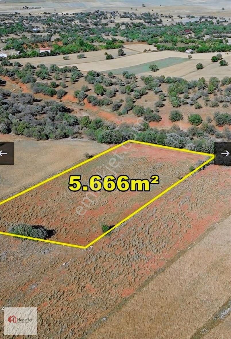 Hanedan'dan, Akören Karahüyük 5.666 M2 Müstakil Tapulu Tarla - Görsel 4