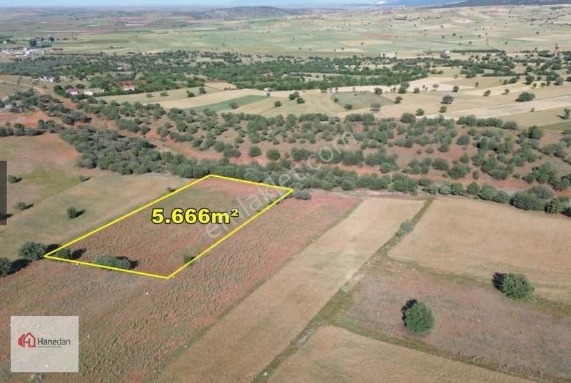 Hanedan'dan, Akören Karahüyük 5.666 M2 Müstakil Tapulu Tarla - Görsel 7