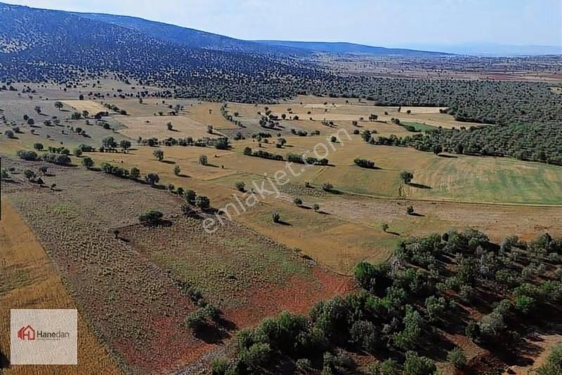 Hanedan'dan, Akören Karahüyük 5.666 M2 Müstakil Tapulu Tarla - Görsel 13