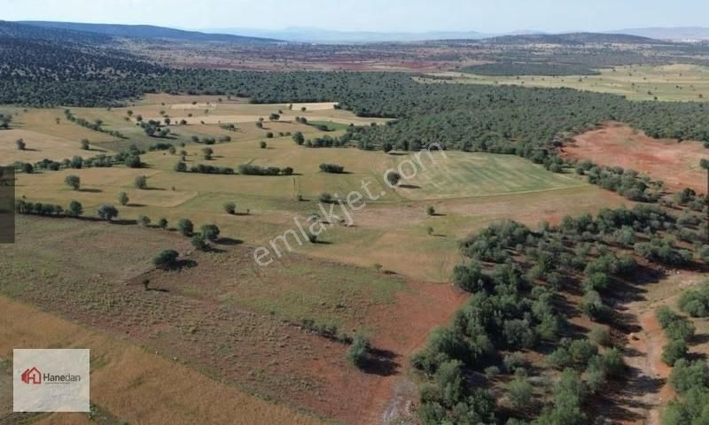 Hanedan'dan, Akören Karahüyük 5.666 M2 Müstakil Tapulu Tarla - Görsel 14
