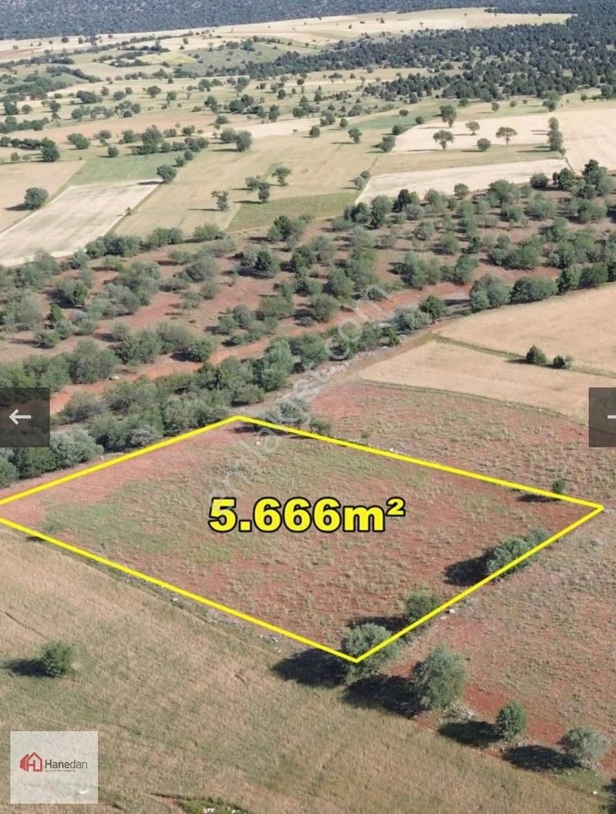 Hanedan'dan, Akören Karahüyük 5.666 M2 Müstakil Tapulu Tarla - Görsel 6
