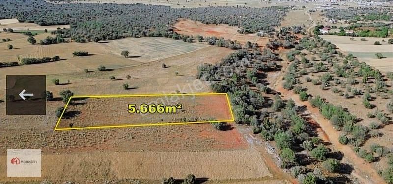 Hanedan'dan, Akören Karahüyük 5.666 M2 Müstakil Tapulu Tarla - Görsel 12