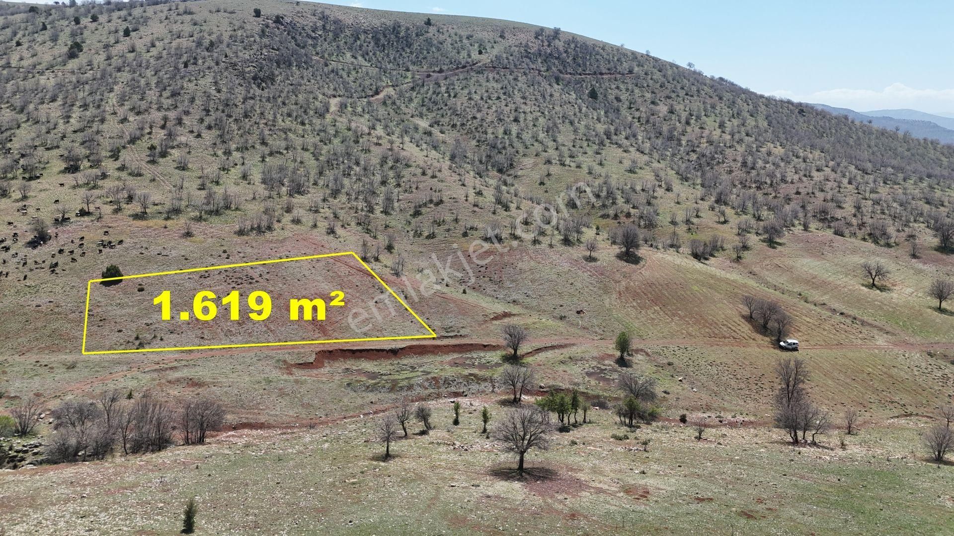 Konya / Güneysınır / Kızılöz Mahallesinde 1.619 M² Müstakil Tapulu Tarla - Görsel 6