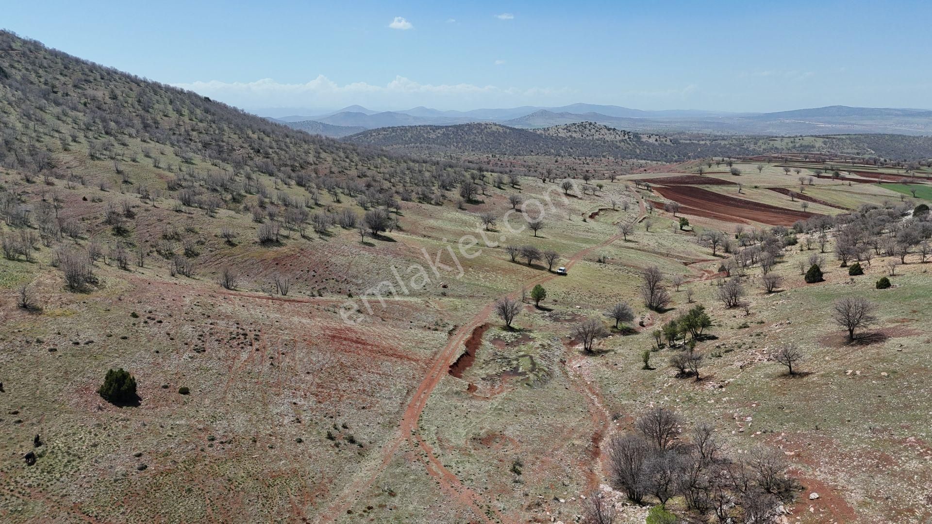 Konya / Güneysınır / Kızılöz Mahallesinde 1.619 M² Müstakil Tapulu Tarla - Görsel 4