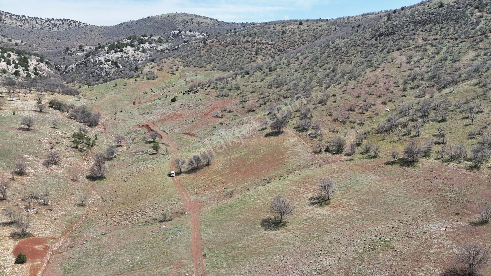 Konya / Güneysınır / Kızılöz Mahallesinde 1.619 M² Müstakil Tapulu Tarla - Görsel 2