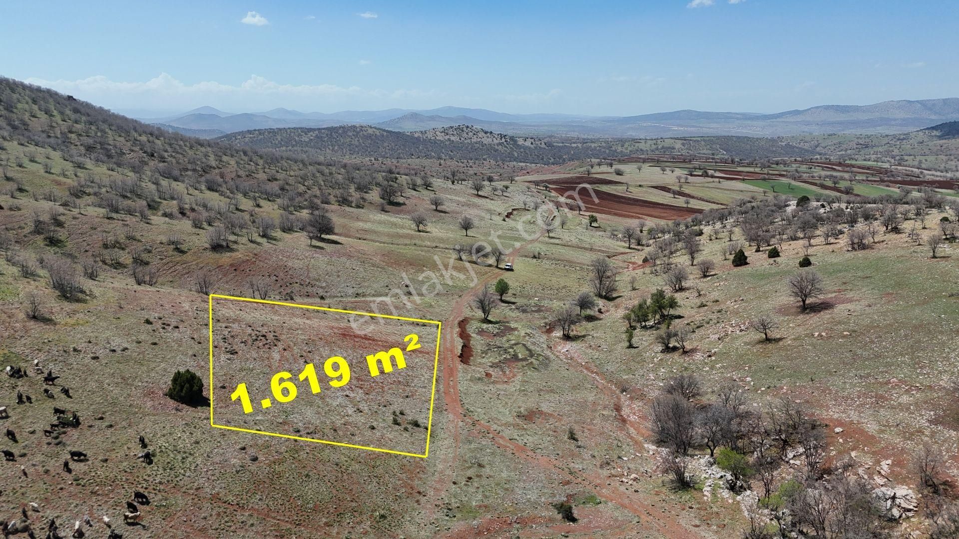 Konya / Güneysınır / Kızılöz Mahallesinde 1.619 M² Müstakil Tapulu Tarla