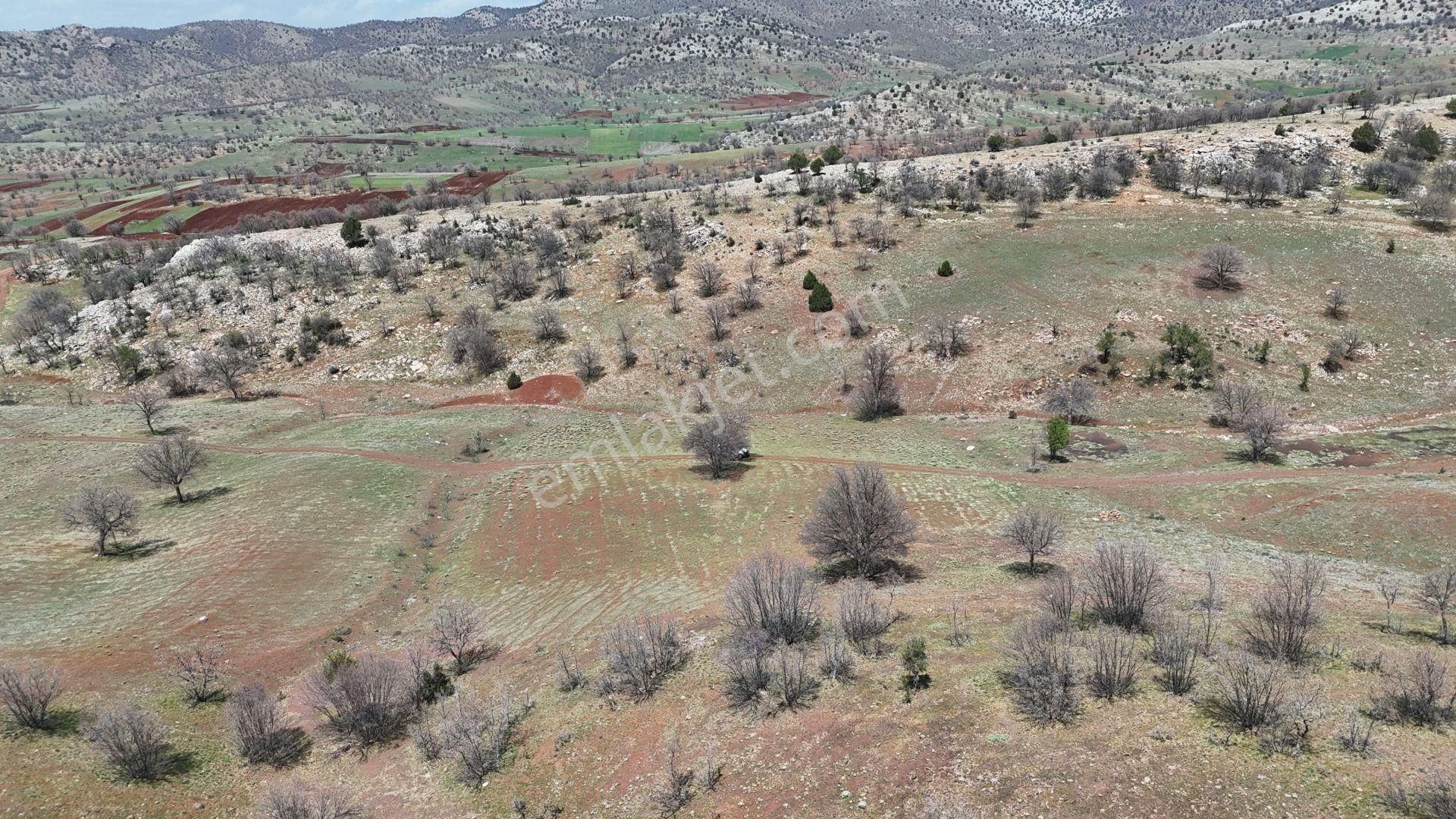 Konya / Güneysınır / Kızılöz Mahallesinde 1.619 M² Müstakil Tapulu Tarla - Görsel 5