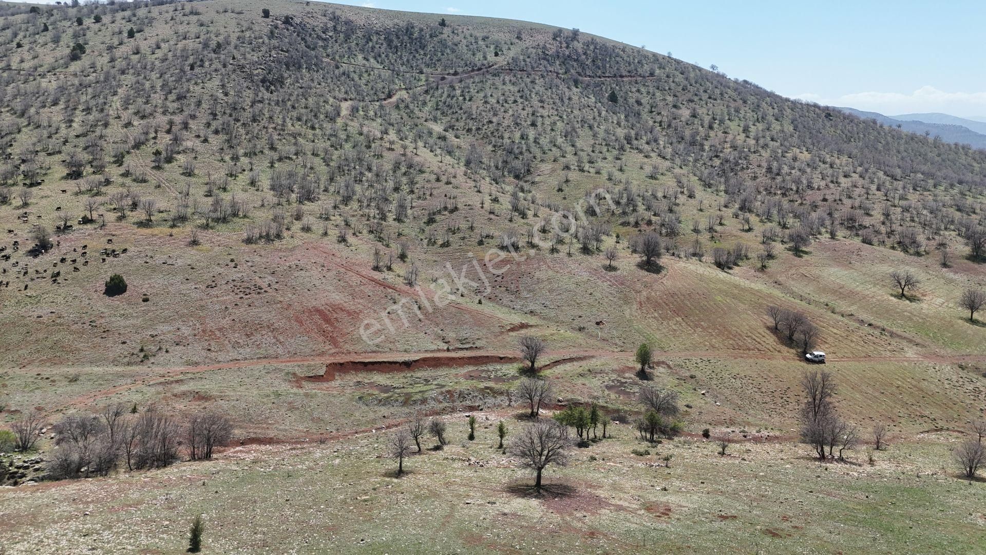 Konya / Güneysınır / Kızılöz Mahallesinde 1.328 M² Müstakil Tapulu Tarla - Görsel 2