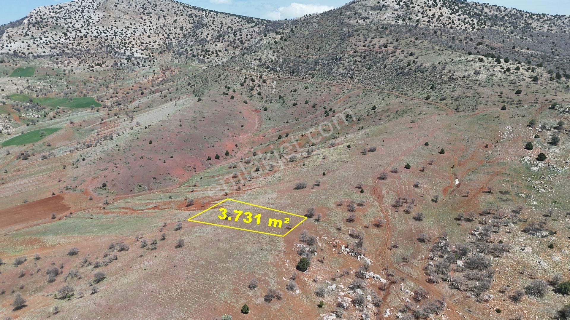 Konya / Güneysınır / Kızılöz Mahallesinde 3.731 M² Müstakil Tapulu Tarla - Görsel 3