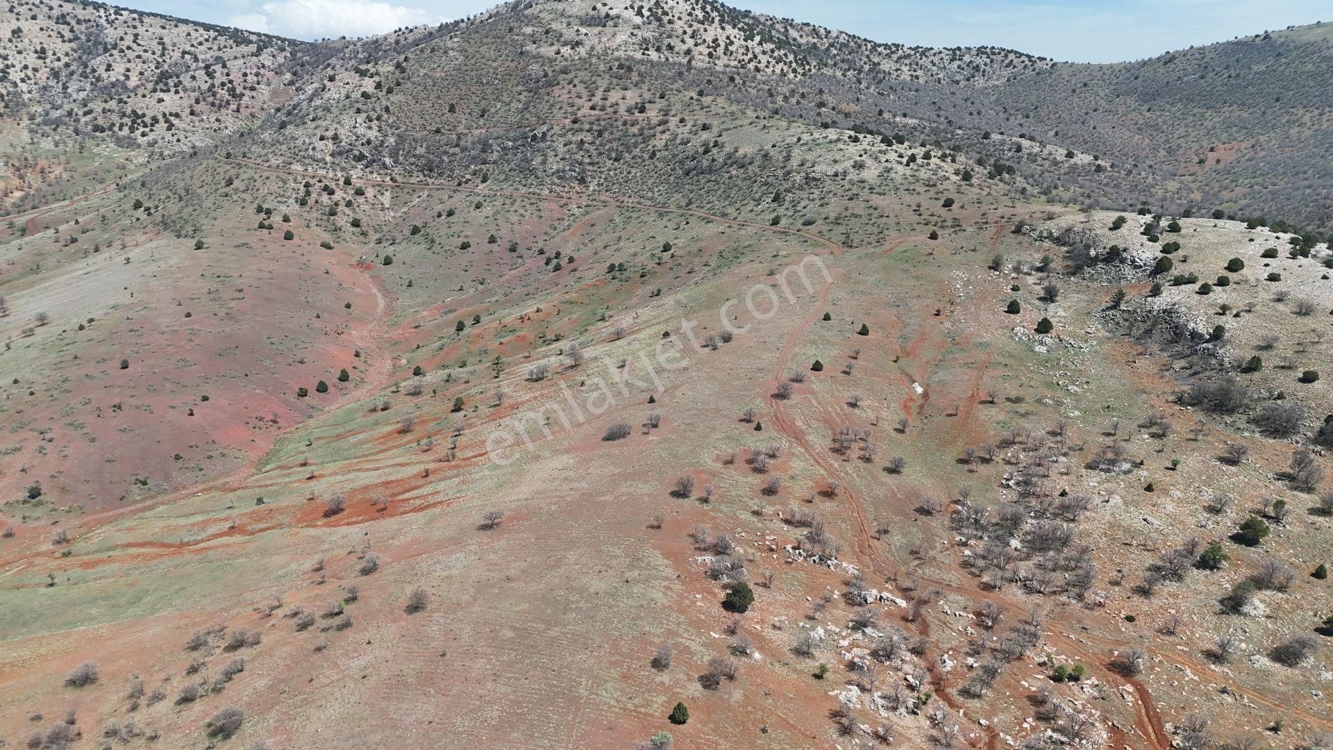 Konya / Güneysınır / Kızılöz Mahallesinde 3.731 M² Müstakil Tapulu Tarla - Görsel 6