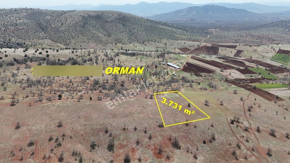 Konya / Güneysınır / Kızılöz Mahallesinde 3.731 M² Müstakil Tapulu Tarla - Görsel 5