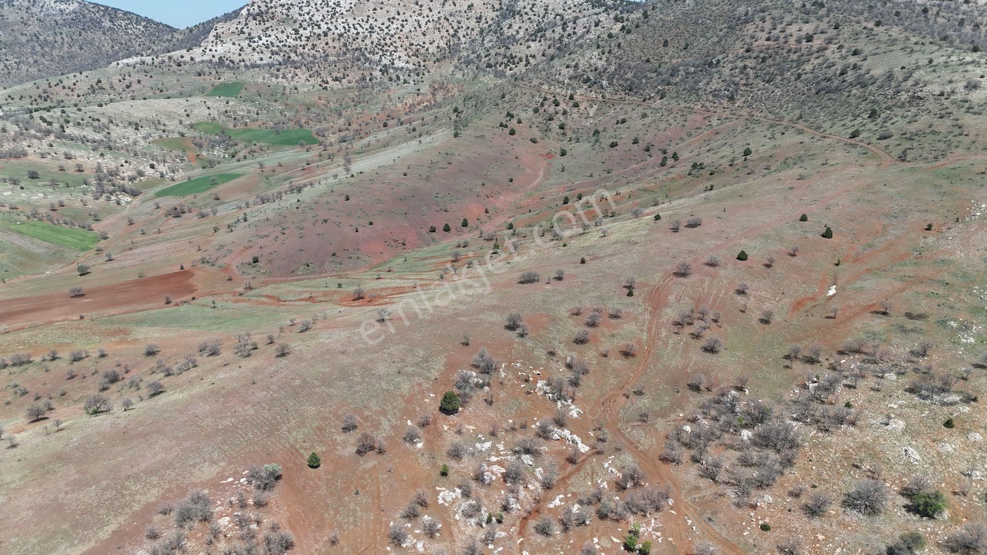 Konya / Güneysınır / Kızılöz Mahallesinde 3.731 M² Müstakil Tapulu Tarla