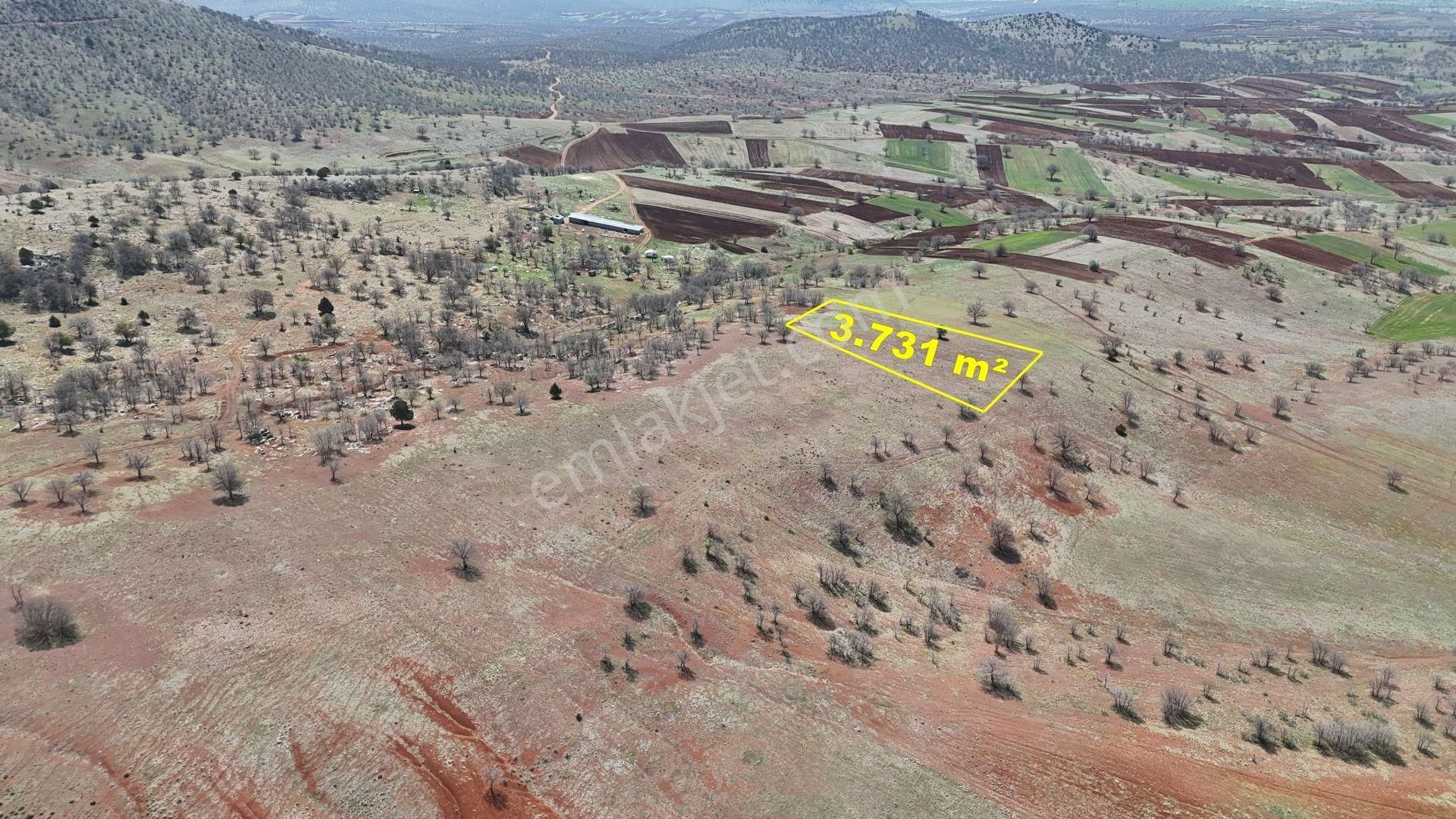 Konya / Güneysınır / Kızılöz Mahallesinde 3.731 M² Müstakil Tapulu Tarla - Görsel 2