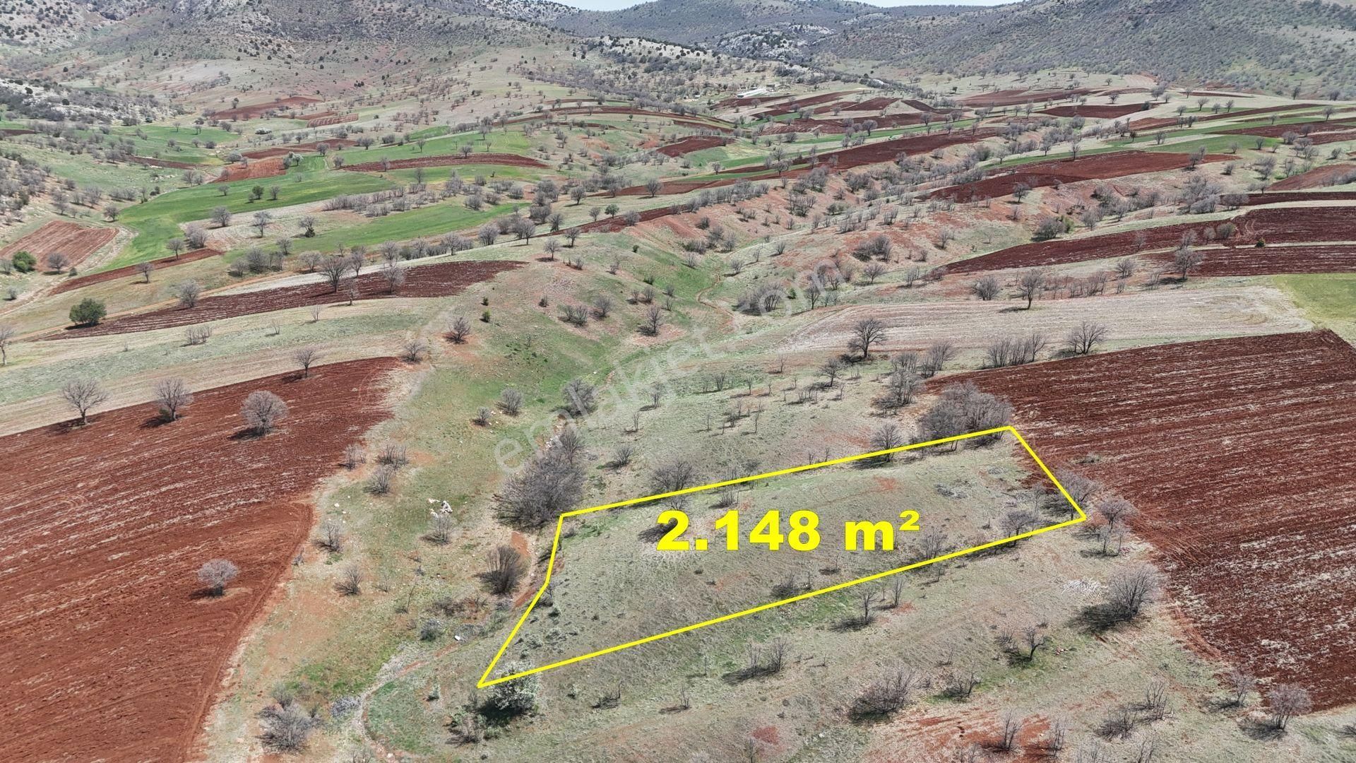 Konya / Güneysınır / Kızılöz Mahallesinde 2.148 M² Müstakil Tapulu Tarla - Görsel 6