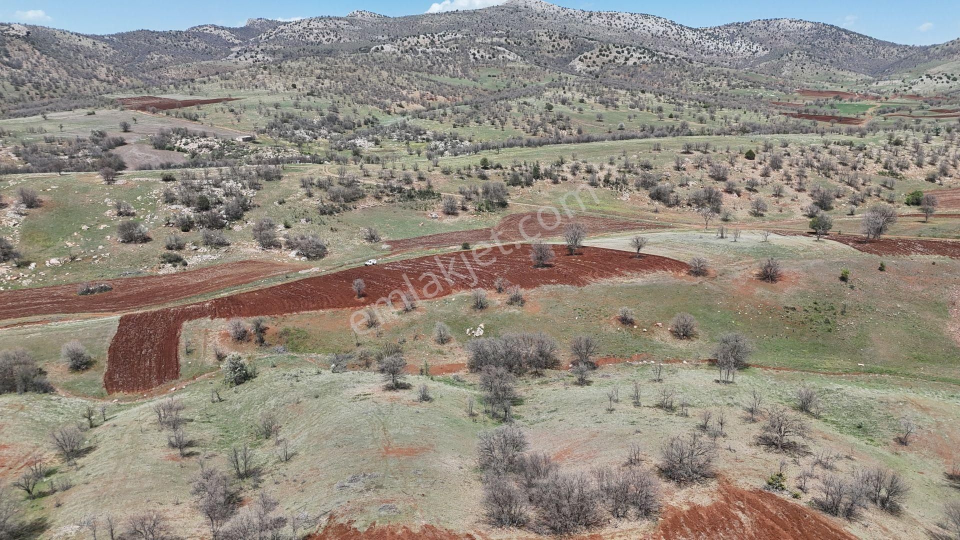 Konya / Güneysınır / Kızılöz Mahallesinde 2.148 M² Müstakil Tapulu Tarla - Görsel 4
