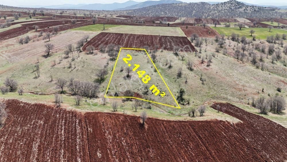 Konya / Güneysınır / Kızılöz Mahallesinde 2.148 M² Müstakil Tapulu Tarla