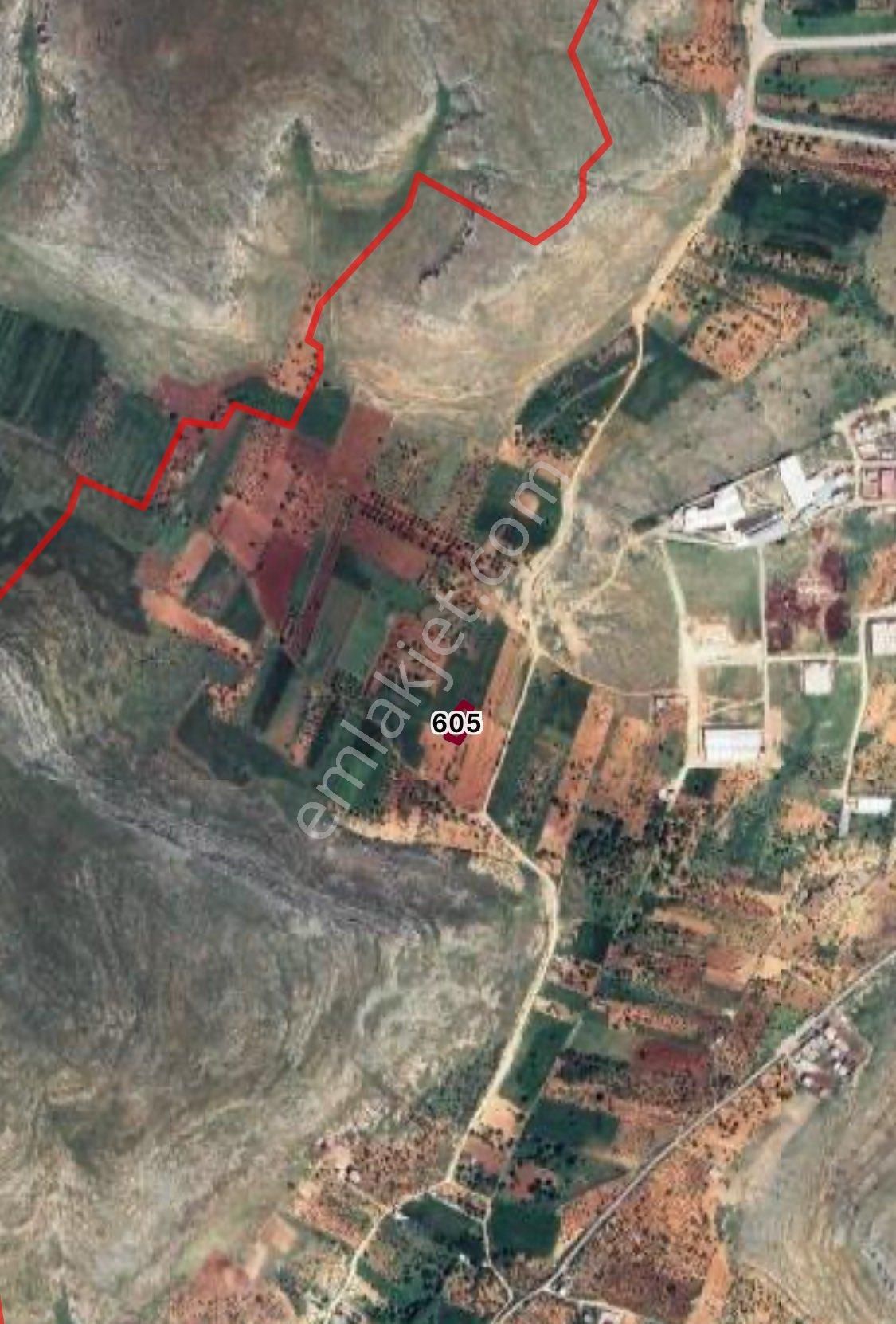 Oğuzeli Çaybaşı’nda 1300 M² Bakımlı Zeytinlik – Tek Tapulu, 1.860.000₺! - Görsel 2