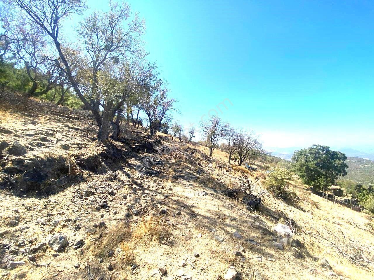 Aktiften Kuyucakta Körfez Manzaralı 301 M2 Satılık Bahçe🔴 - Görsel 7