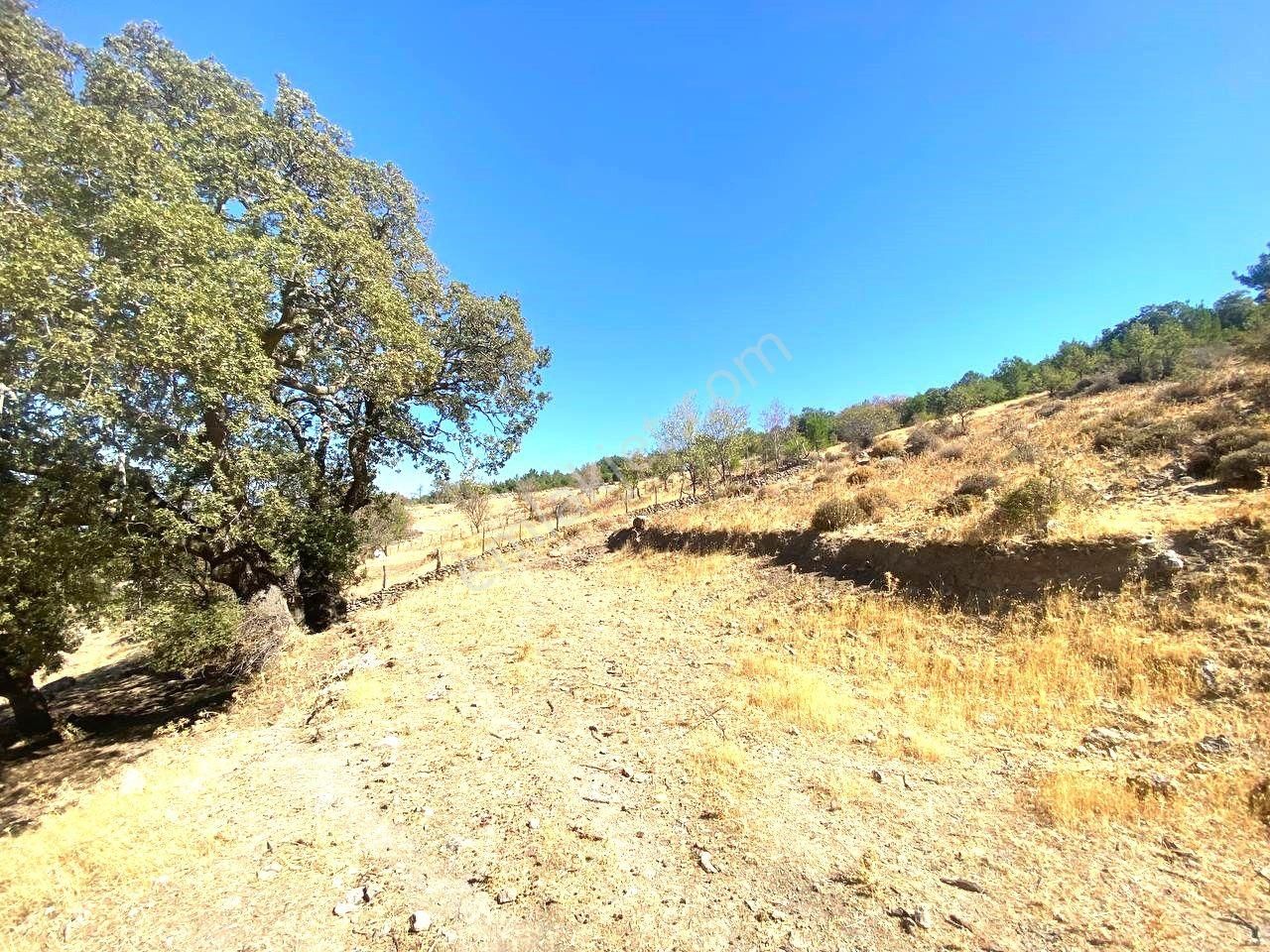 Aktiften Kuyucakta Körfez Manzaralı 301 M2 Satılık Bahçe🔴 - Görsel 4