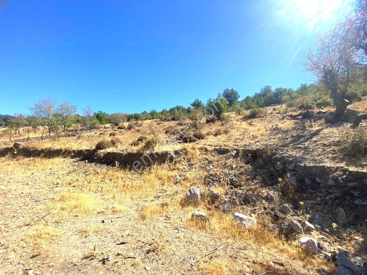 Aktiften Kuyucakta Körfez Manzaralı 301 M2 Satılık Bahçe🔴 - Görsel 6