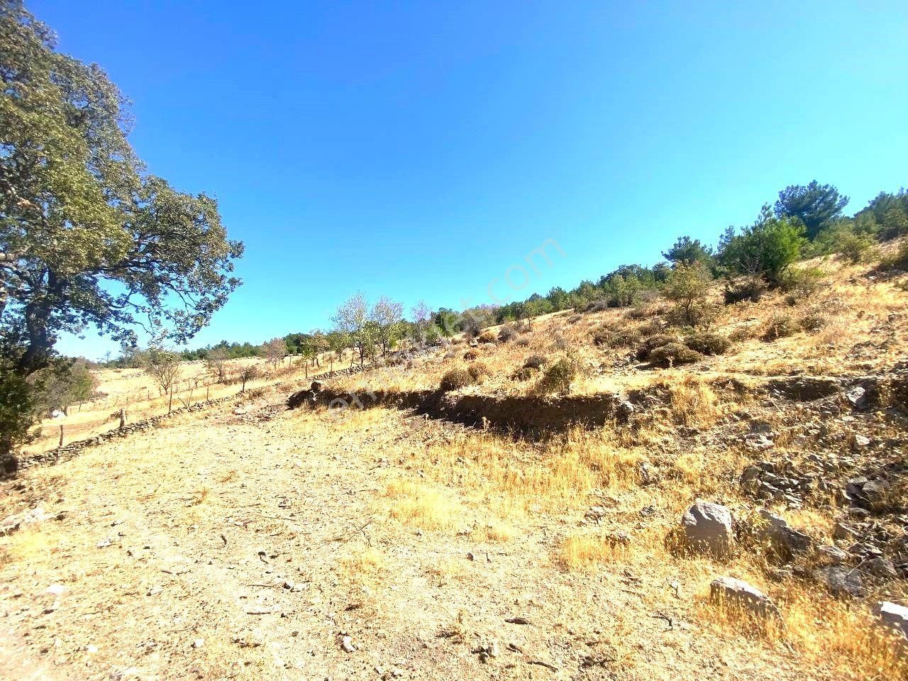 Aktiften Kuyucakta Körfez Manzaralı 301 M2 Satılık Bahçe🔴 - Görsel 5