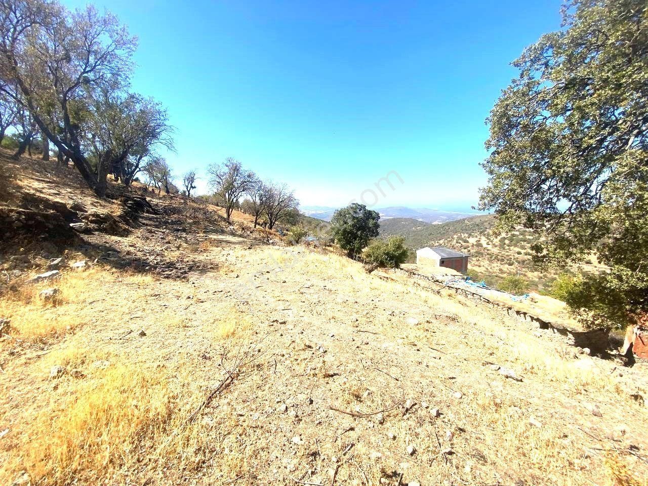 Aktiften Kuyucakta Körfez Manzaralı 301 M2 Satılık Bahçe🔴 - Görsel 15