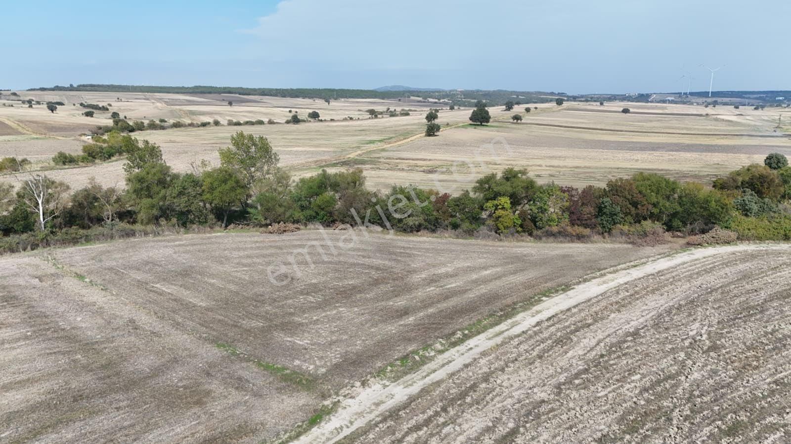 Sahibinden Enez’de 4.350m2 Denize Yakın Arazi - Görsel 5