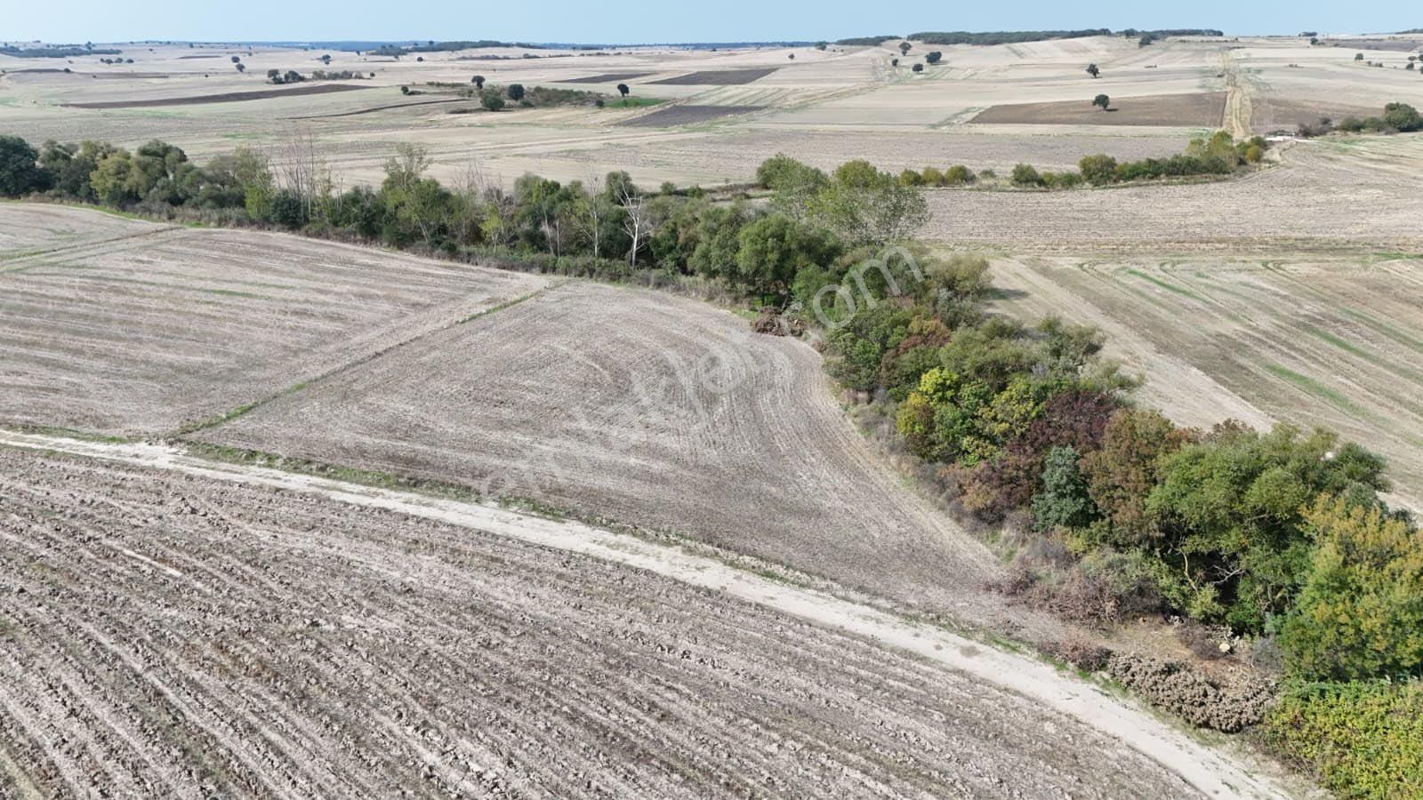 Sahibinden Enez’de 4.350m2 Denize Yakın Arazi - Görsel 6