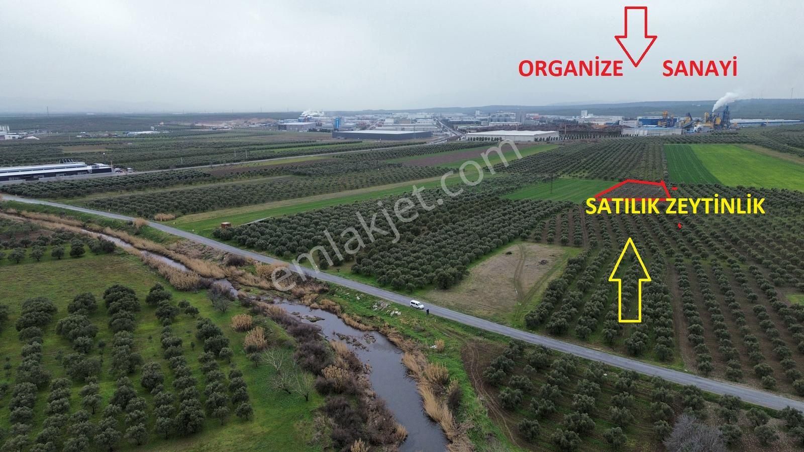 Akhisarda Yatırım Fırsatı (emin'den)