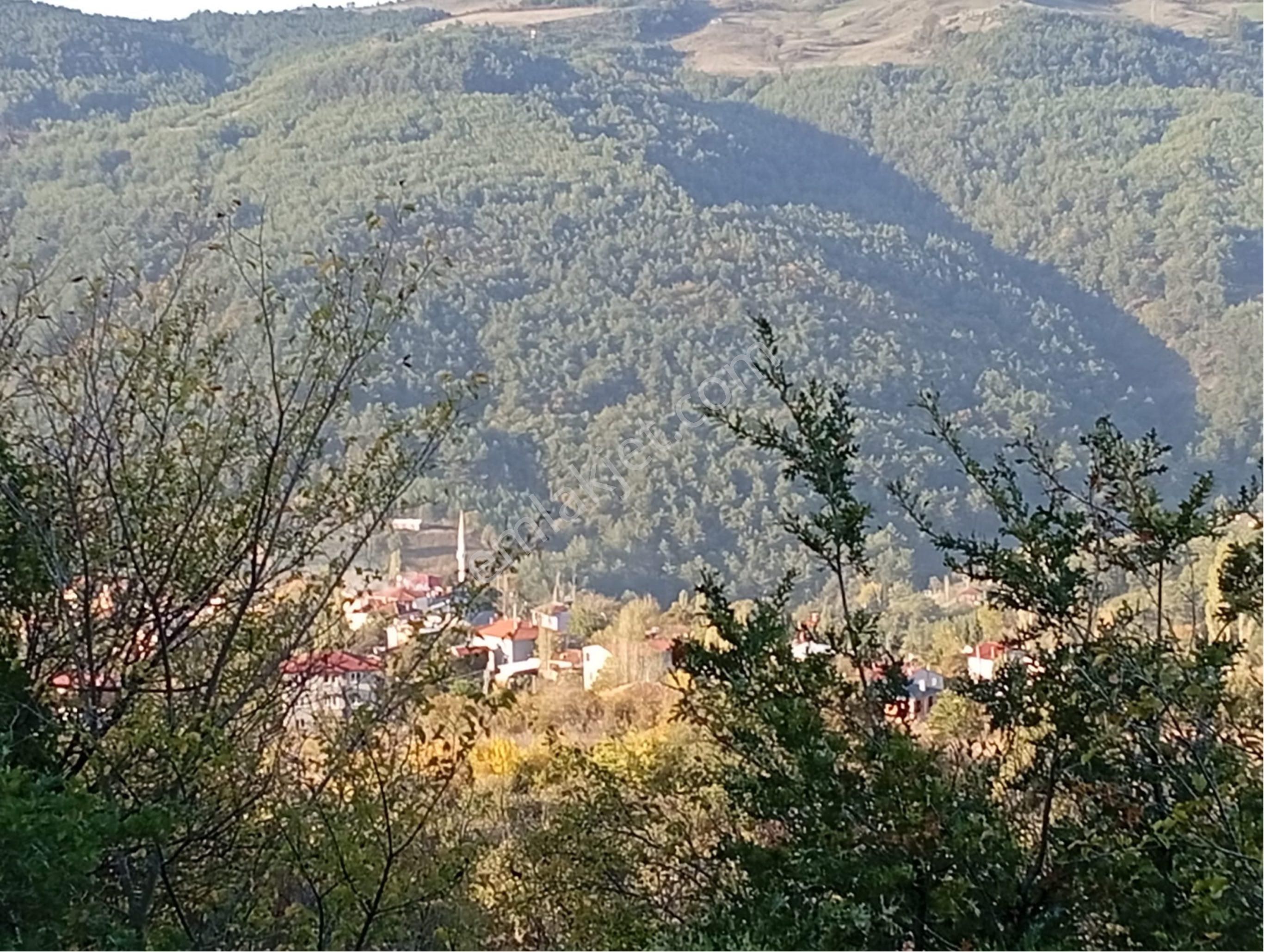 🌿 Sakarya / Geyve – Melekşesolak Mahallesi’nde Kaçırılmayacak Fırsat! - Görsel 4