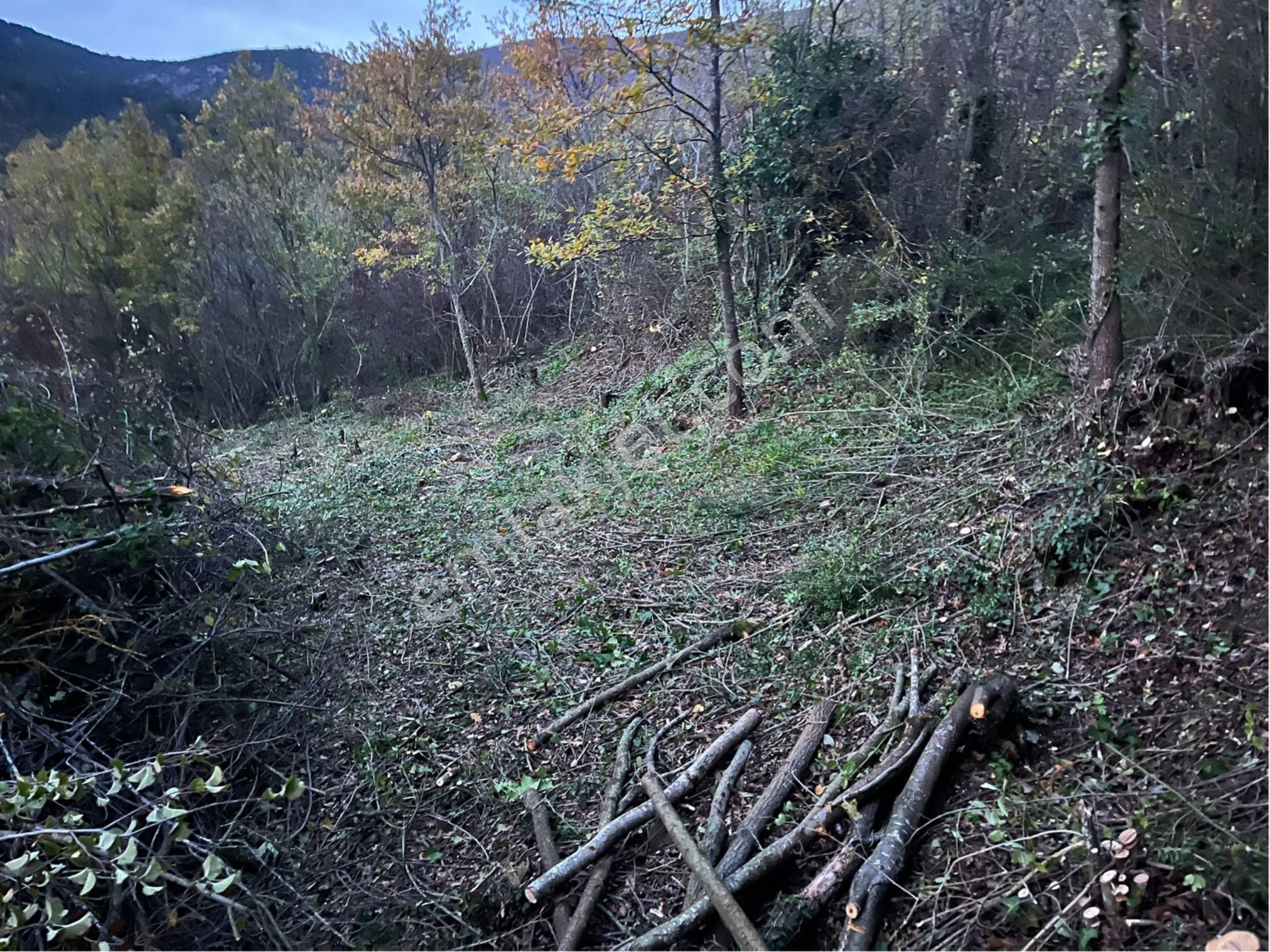🌿 Sakarya / Geyve – Melekşesolak Mahallesi’nde Kaçırılmayacak Fırsat! - Görsel 2