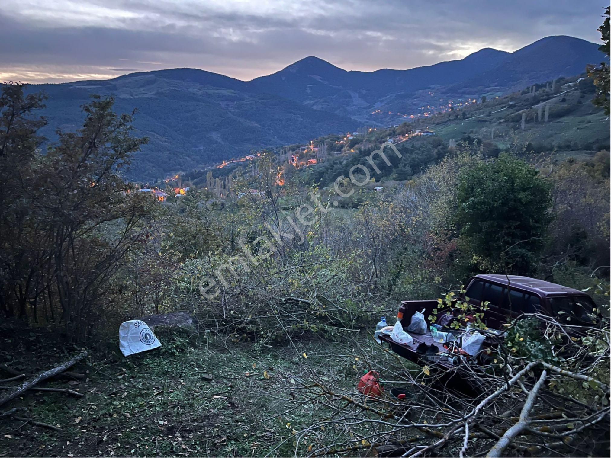 🌿 Sakarya / Geyve – Melekşesolak Mahallesi’nde Kaçırılmayacak Fırsat!