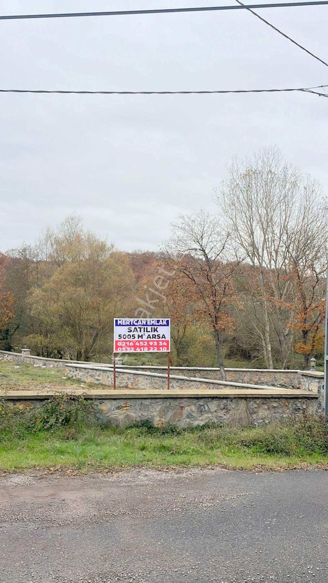 Mertcan'dan Pendik Ballıca Mahallesi Müstakil Parsel Arsa