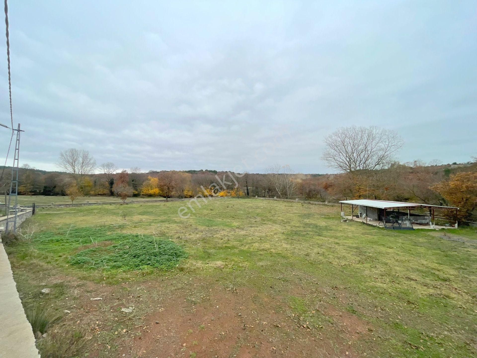 Mertcan'dan Pendik Ballıca Mahallesi Müstakil Parsel Arsa - Görsel 6