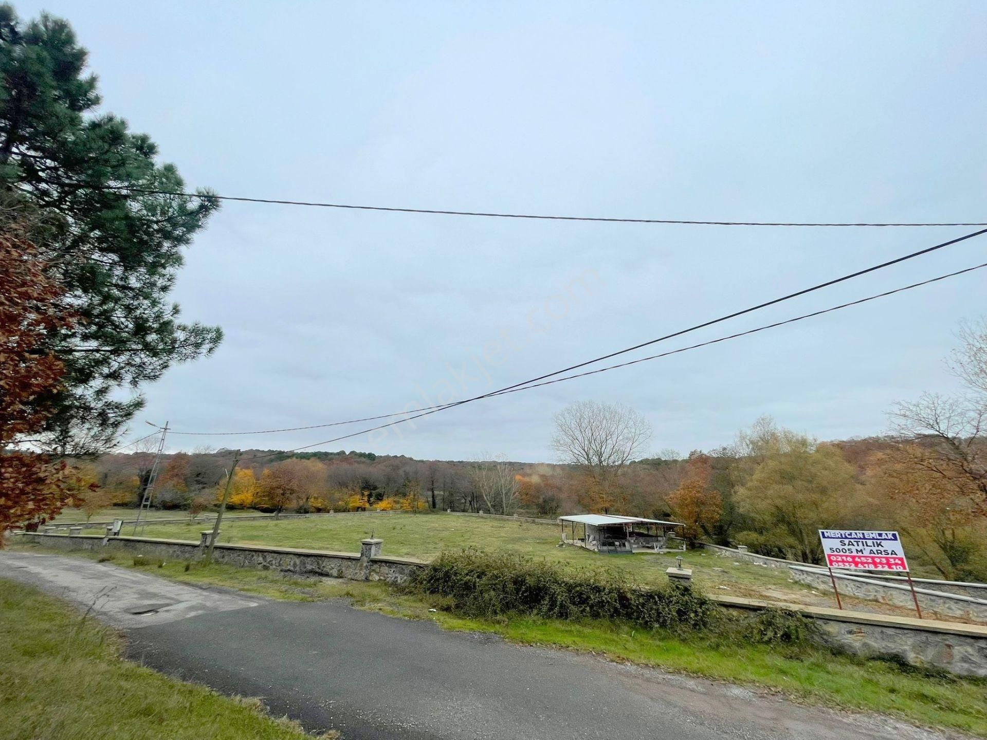 Mertcan'dan Pendik Ballıca Mahallesi Müstakil Parsel Arsa - Görsel 16