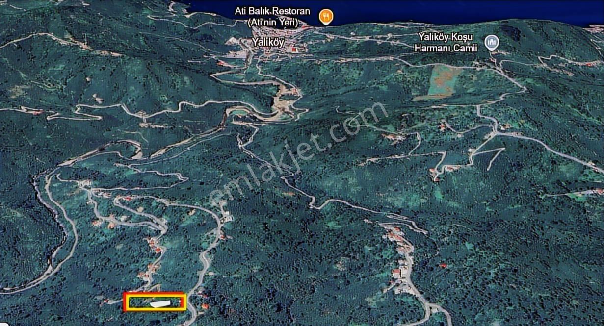 Ordu Perşembe Yeşilköy Merkezinde Satılık Fındık Bahçesi - Görsel 4