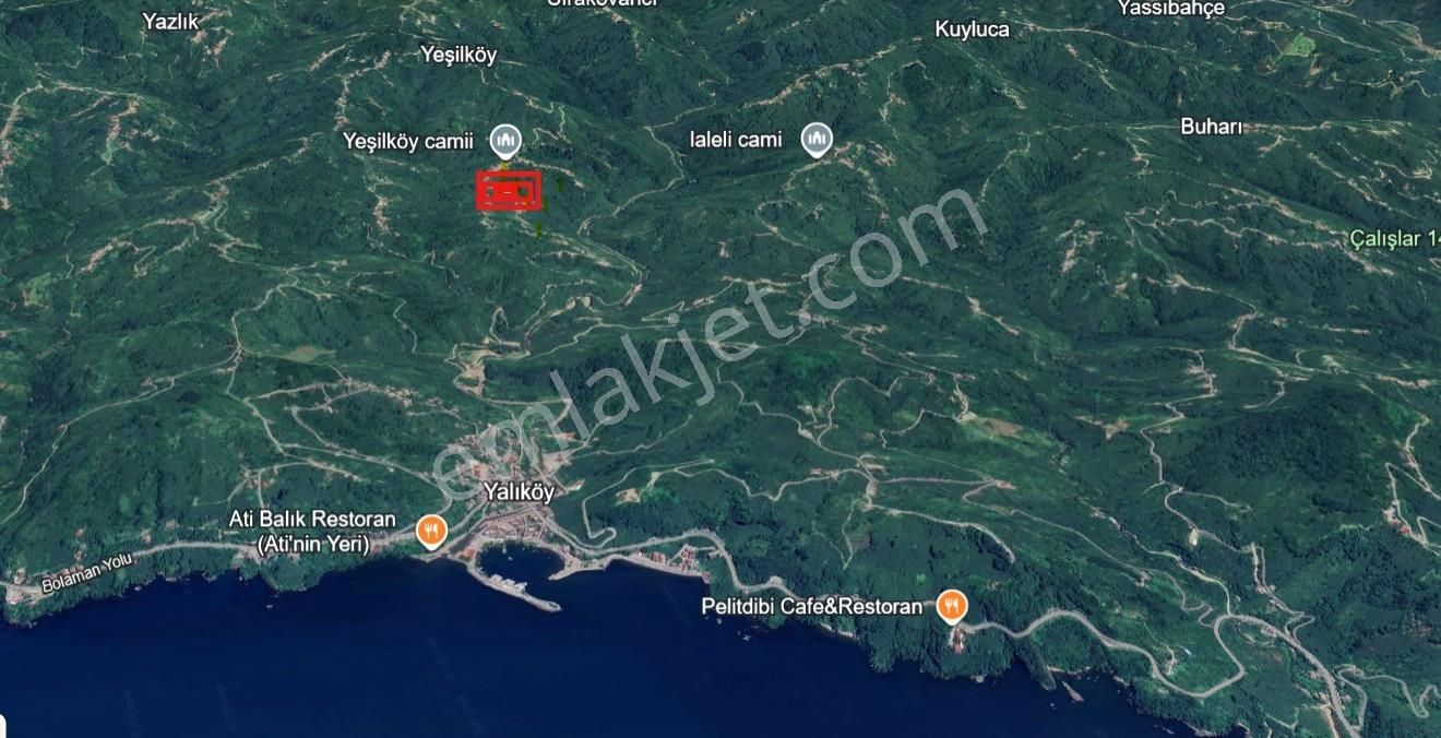Ordu Perşembe Yeşilköy Merkezinde Satılık Fındık Bahçesi - Görsel 3