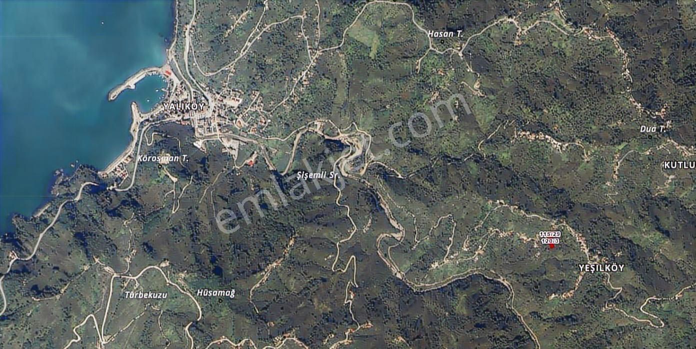 Ordu Perşembe Yeşilköy Merkezinde Satılık Fındık Bahçesi - Görsel 2
