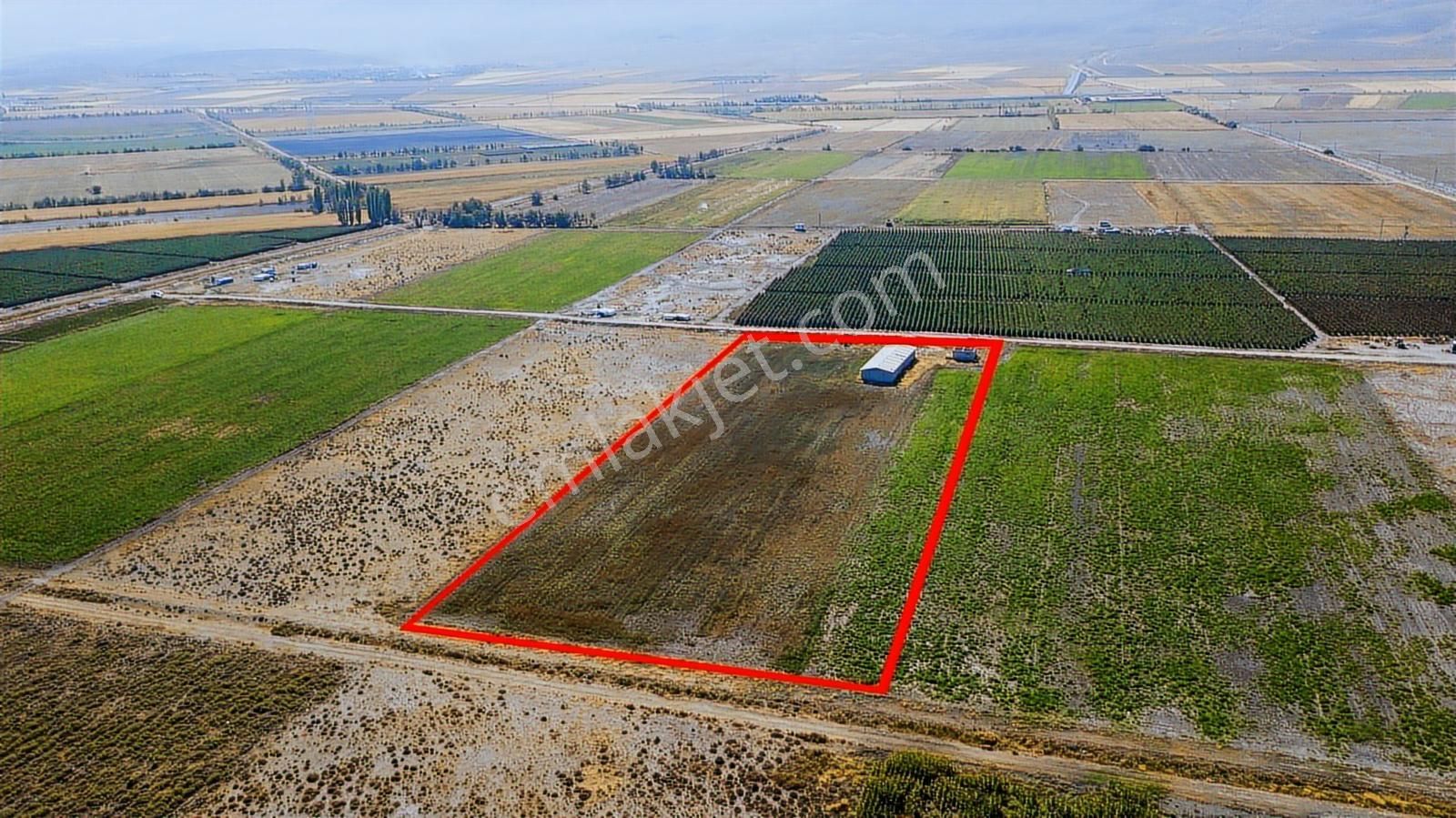 Konya Ereğli Karaburunda Mevkii Taşağıl'da Ciftlik