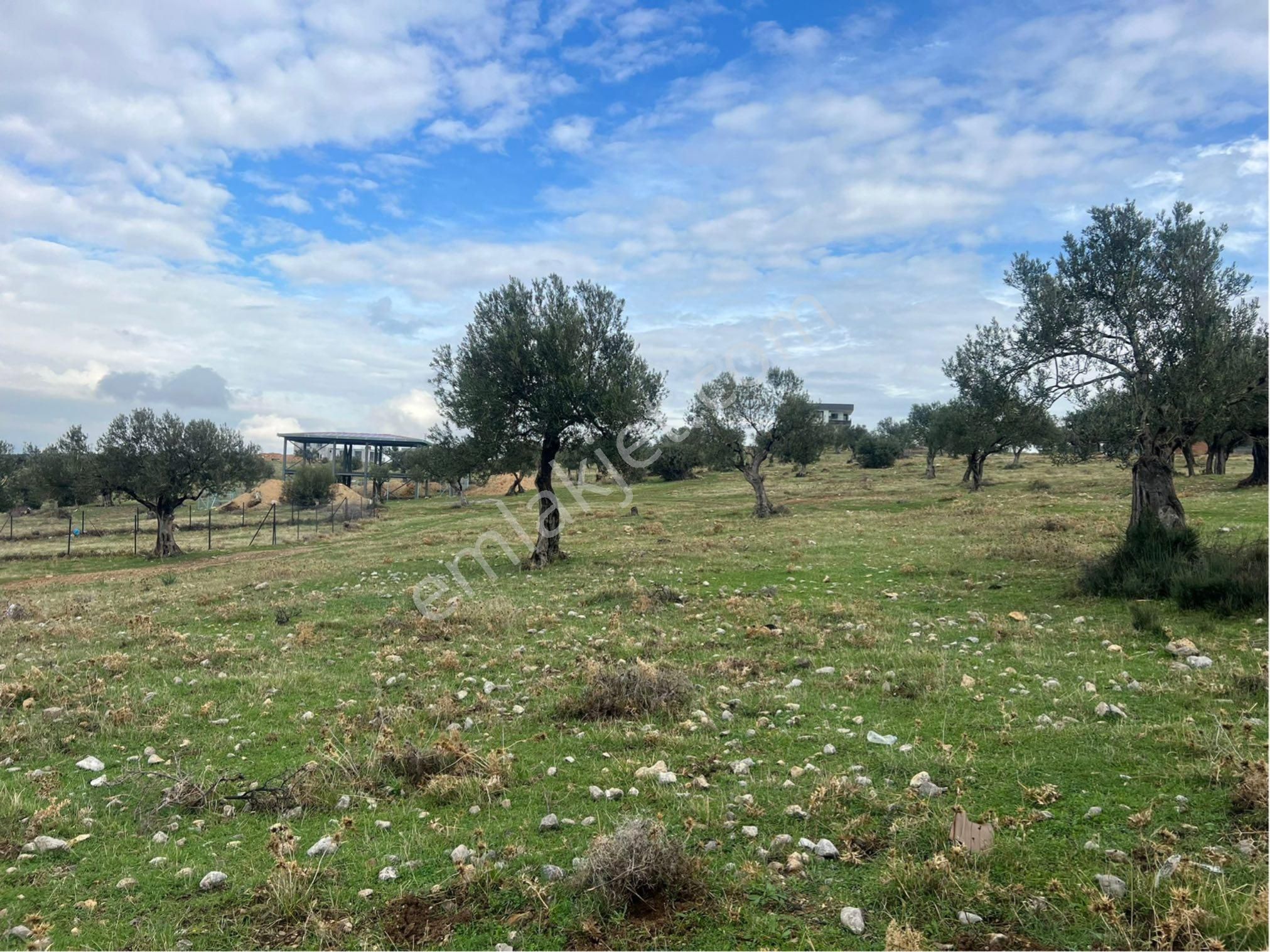 Zeytindağda Satılık Arsa Villalık Yer - Görsel 5