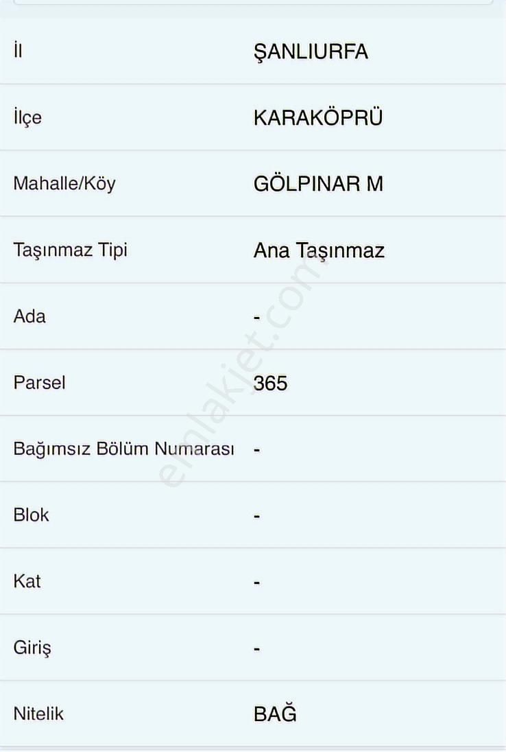 Azger Emlaktan Gölpınarda Satılık Bağ Evi Yeri - Görsel 3