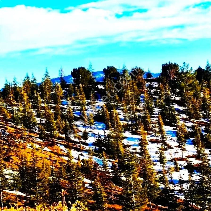 Kar Emlaktan Kamışlı Yaylasında 50 M2 Satılık Arsa - Görsel 5