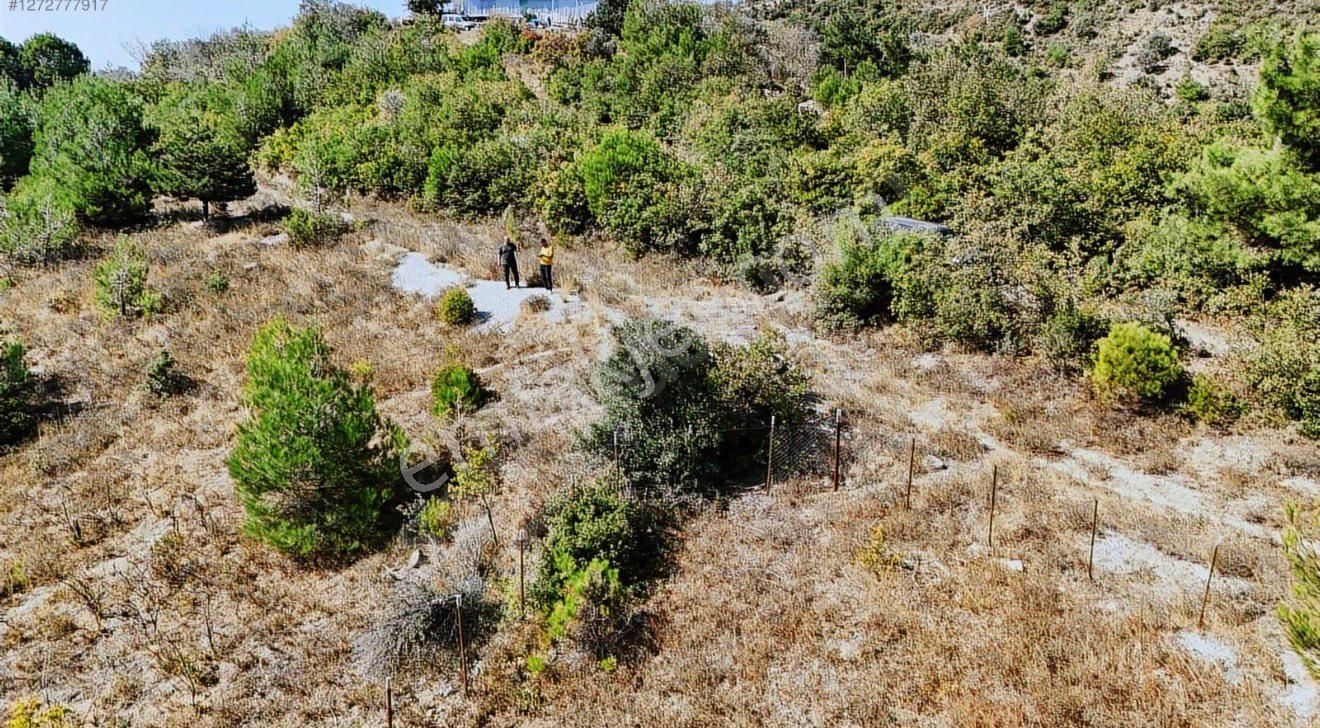 Sakarya / Geyve – Alifuatpaşa Mahallesi’nde Kaçırılmayacak İmarlı Arsa! - Görsel 5