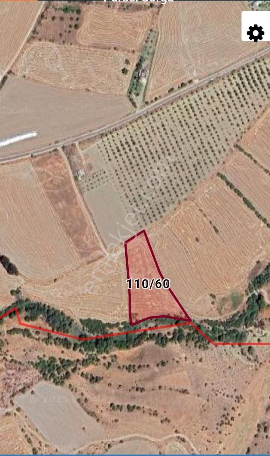 *nova* Şabanlı Köyünde Satılık Fırsat Tarla