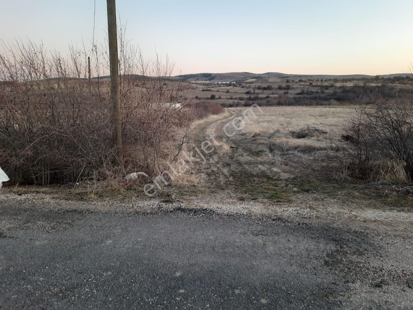 *nova* Şabanlı Köyünde Satılık Fırsat Tarla - Görsel 4